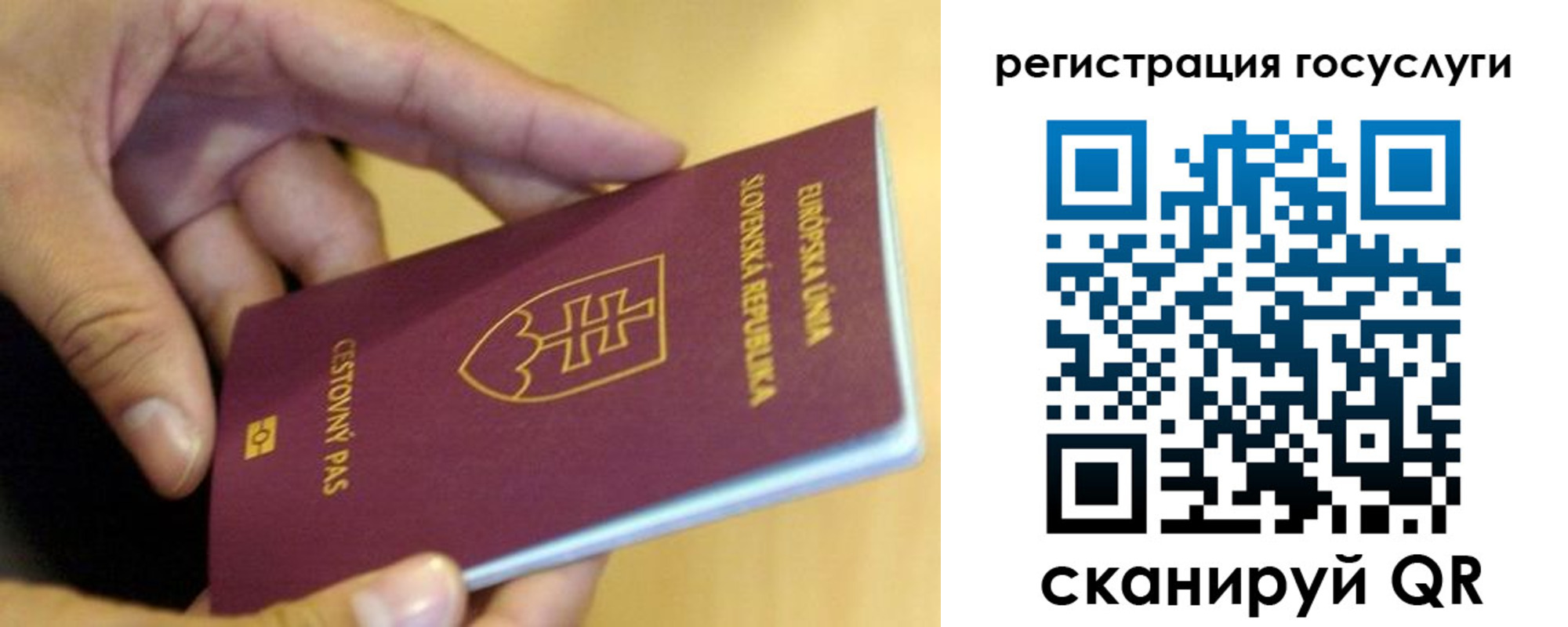 прописка в квартире в Аше